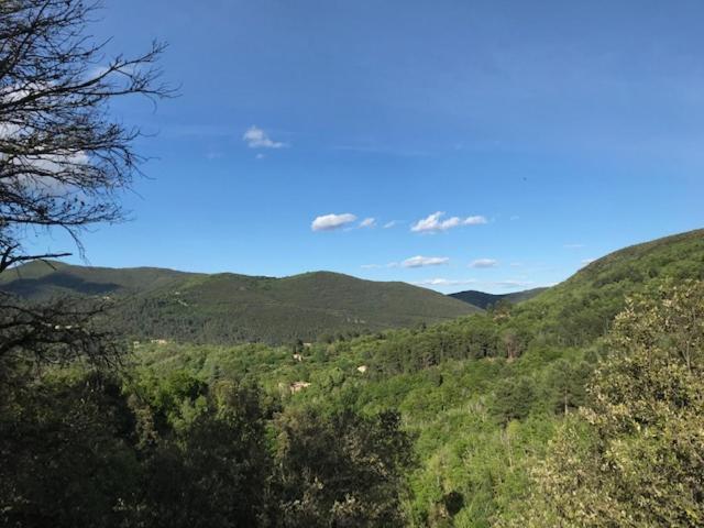 סן-ז'אן-דו-גאר Chambre D'Hote Lavande - Le Soleil Des Cevennes מראה חיצוני תמונה